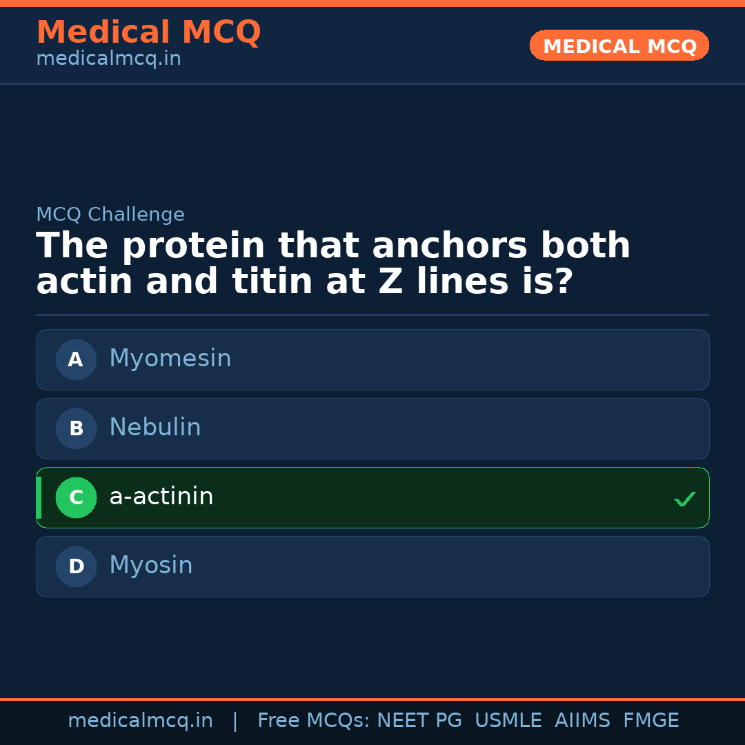 MCQ share card
