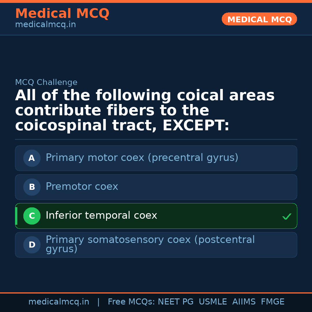 MCQ share card