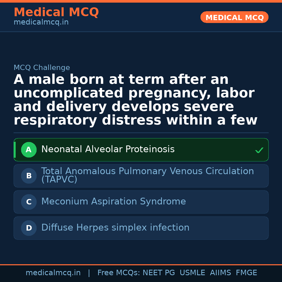 MCQ share card