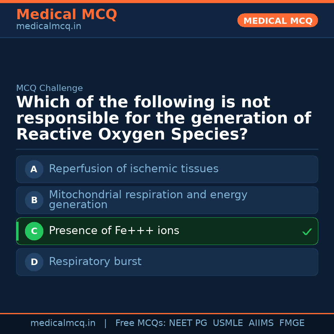 MCQ share card