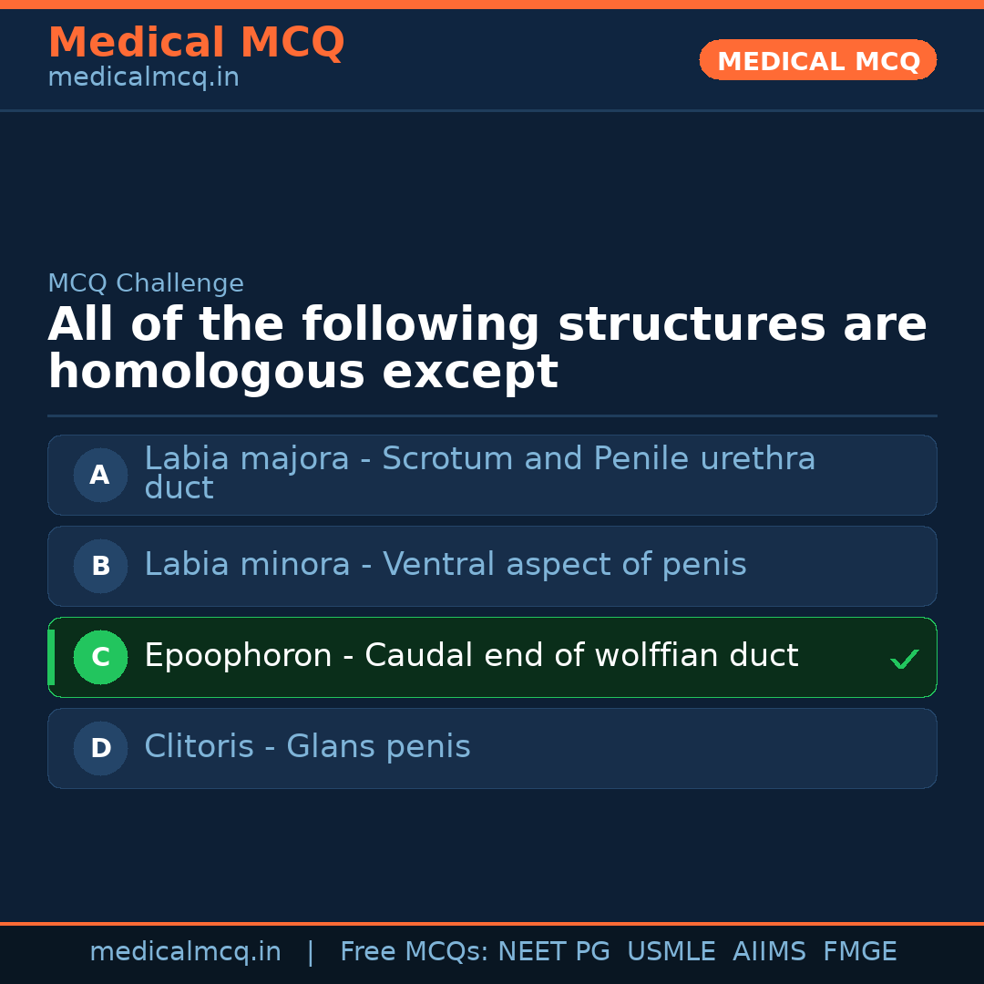 MCQ share card