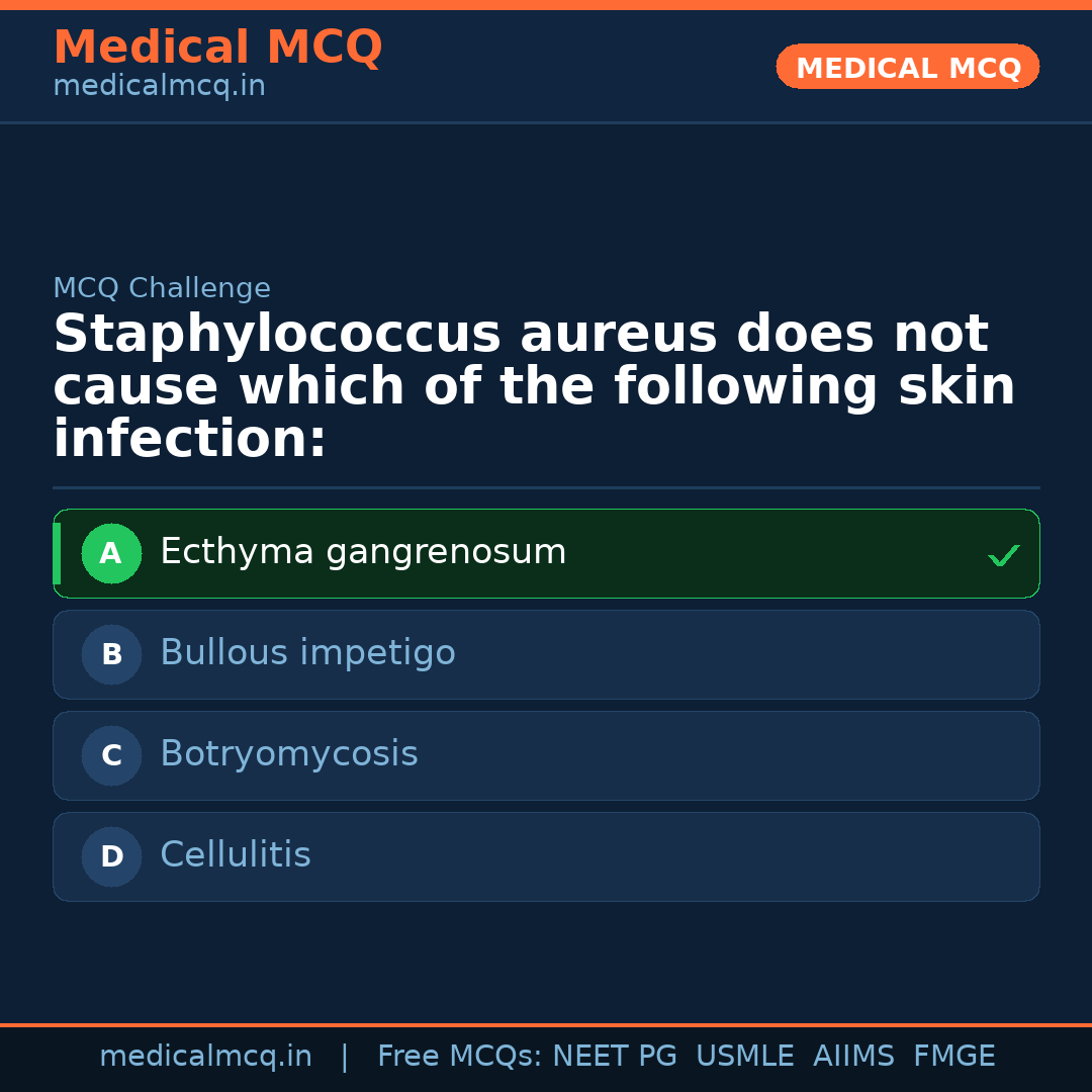 MCQ share card