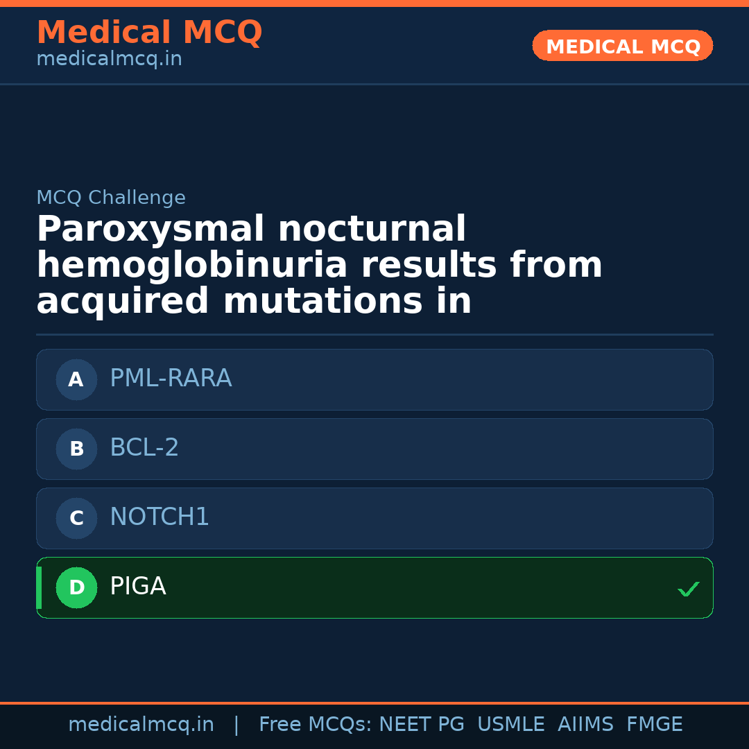 MCQ share card