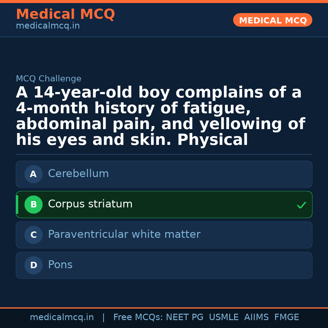 MCQ share card