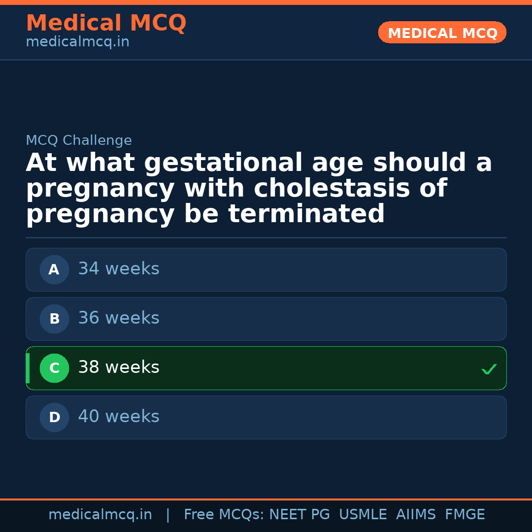MCQ share card