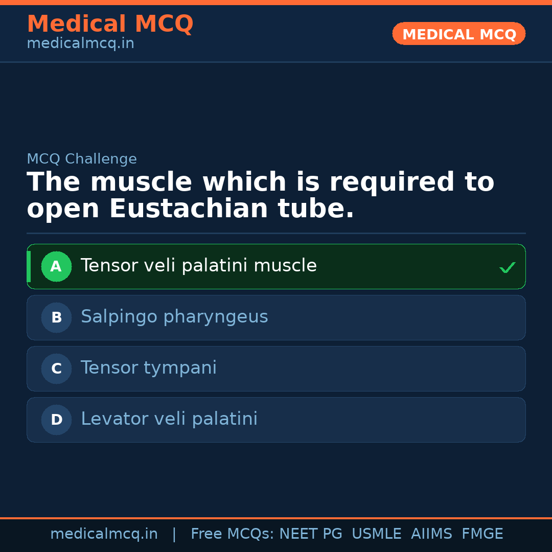 MCQ share card