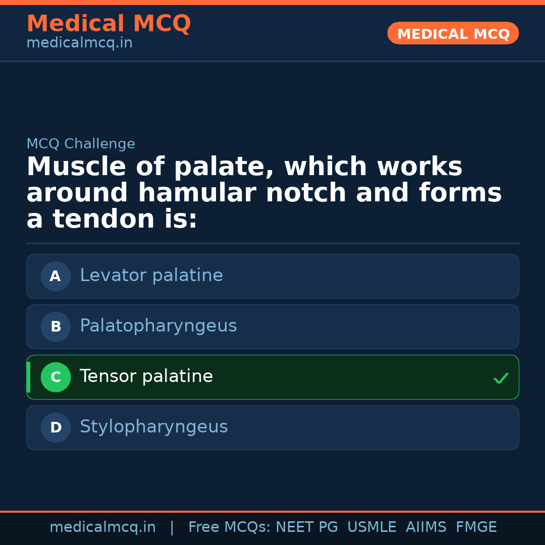 MCQ share card