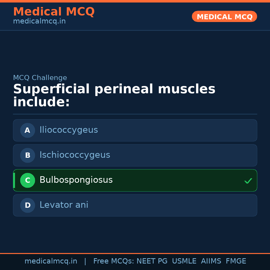 MCQ share card