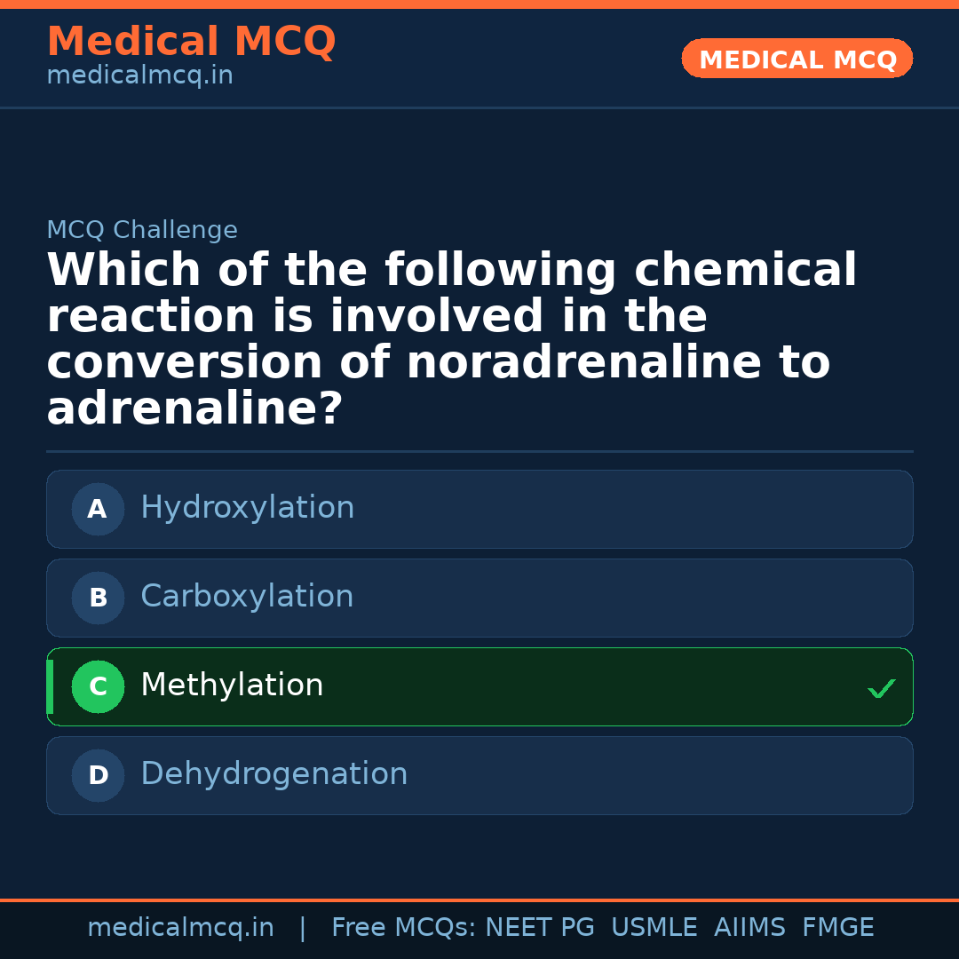 MCQ share card
