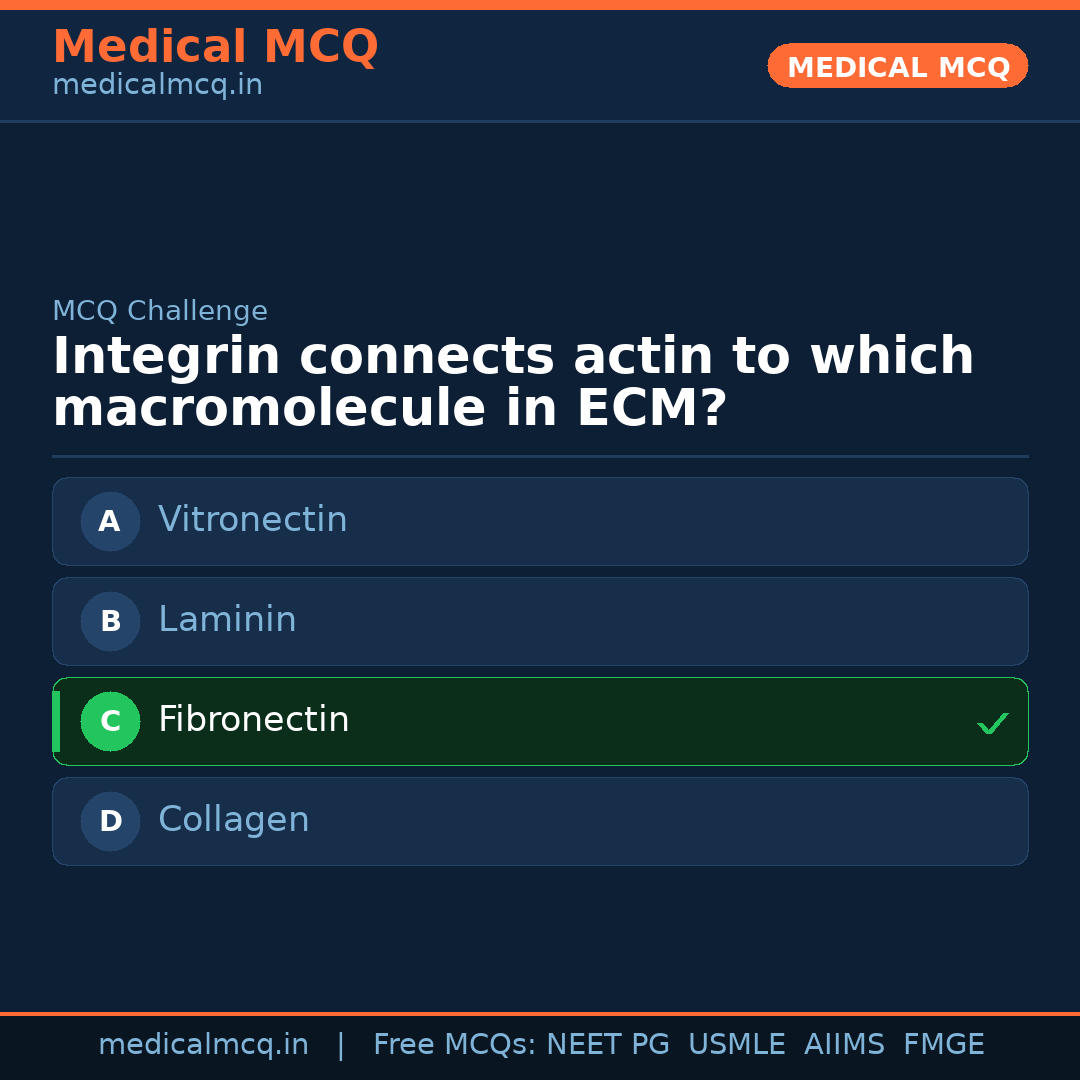 MCQ share card