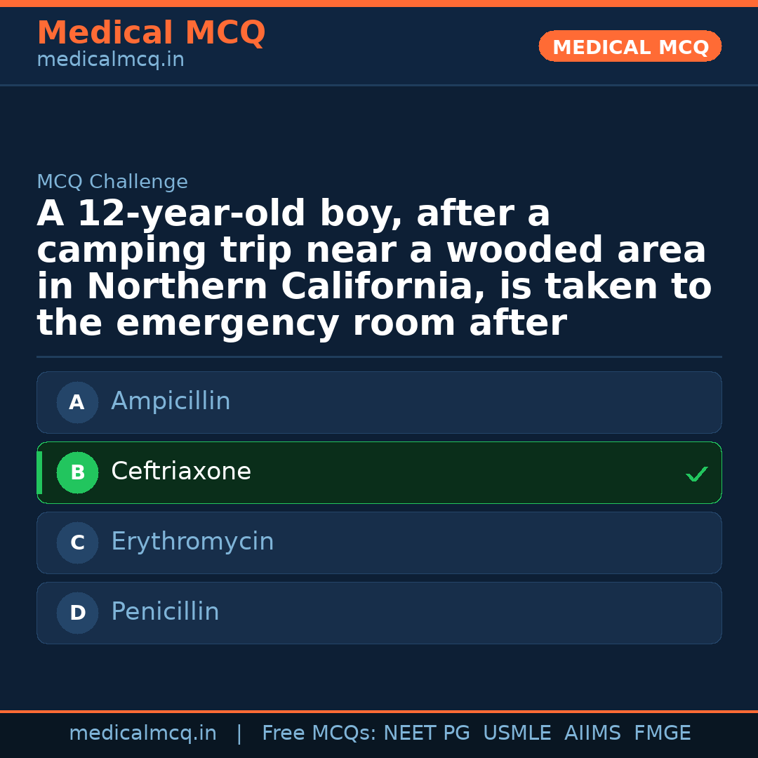 MCQ share card