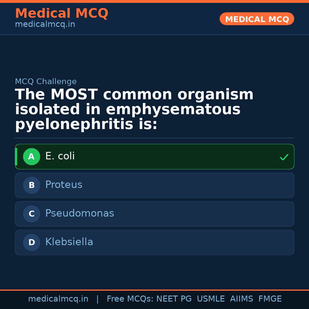 MCQ share card