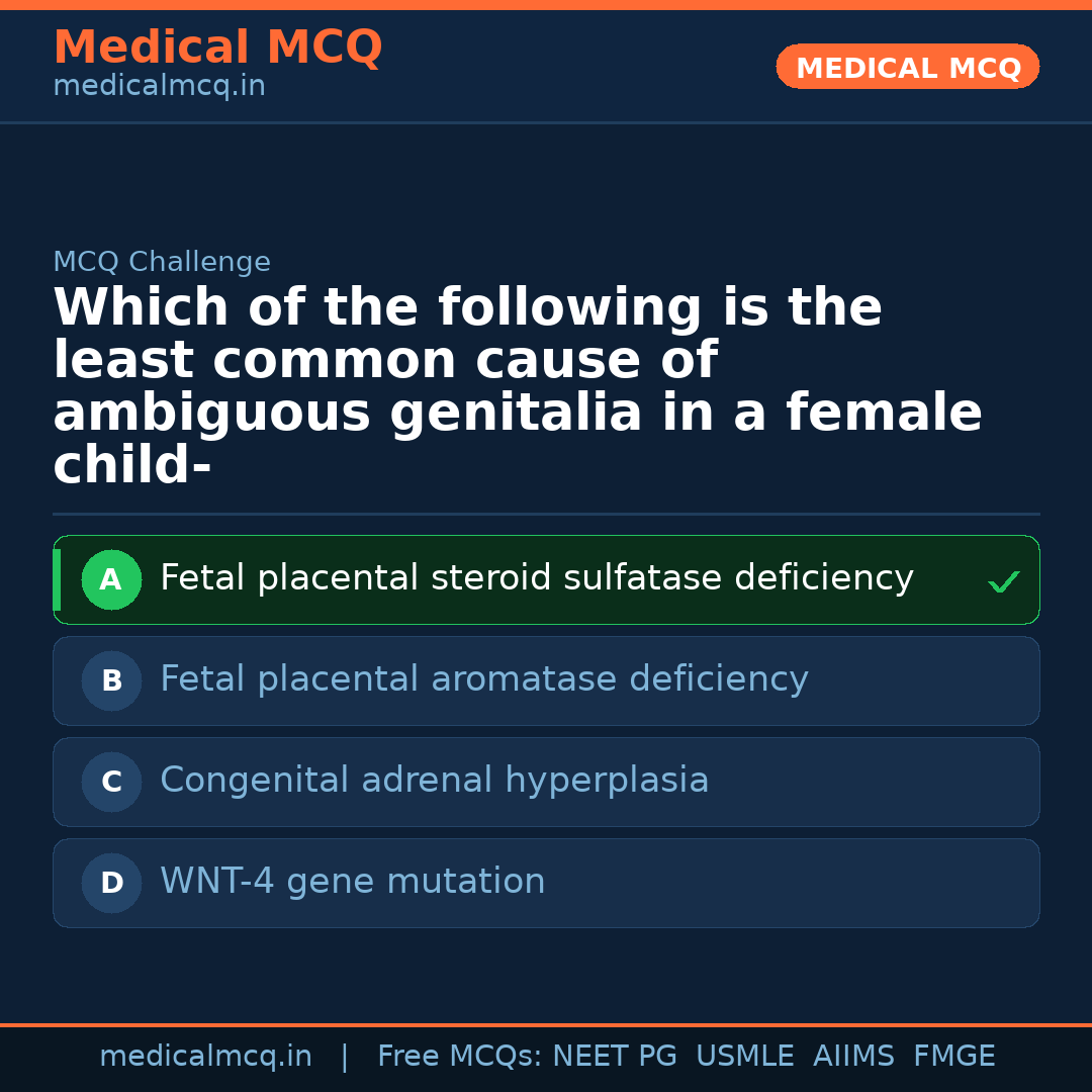 MCQ share card