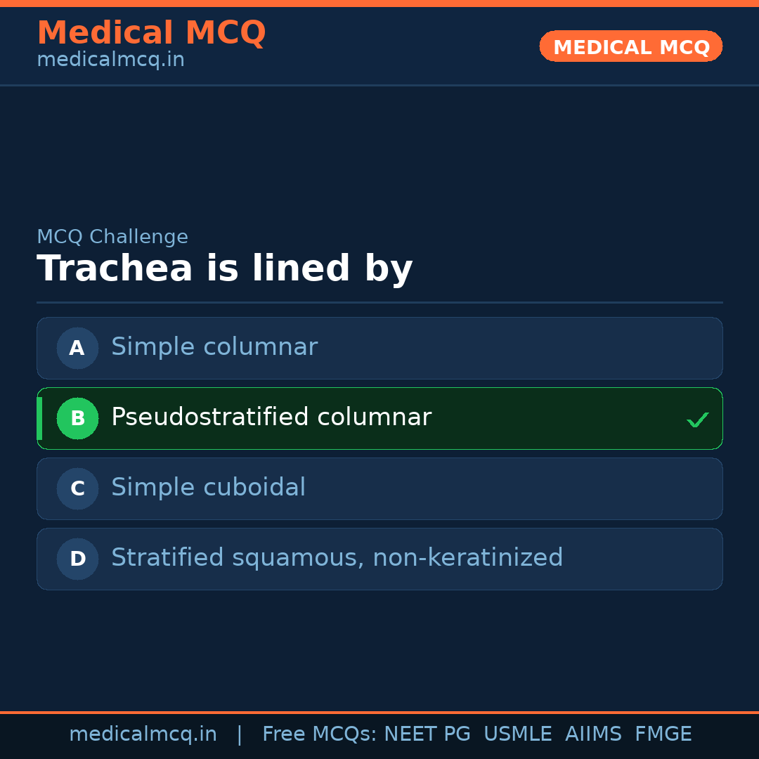MCQ share card