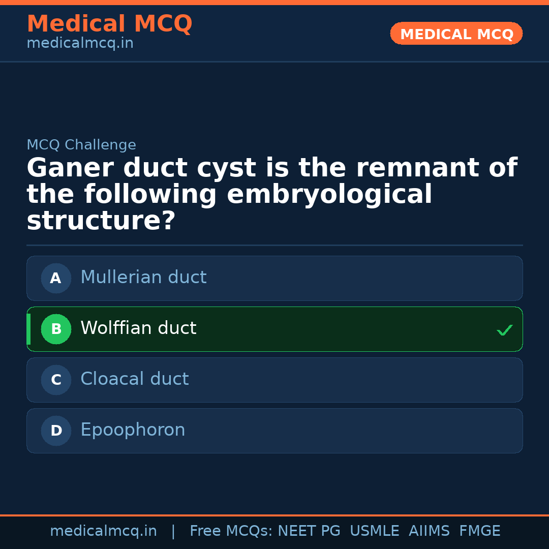 MCQ share card