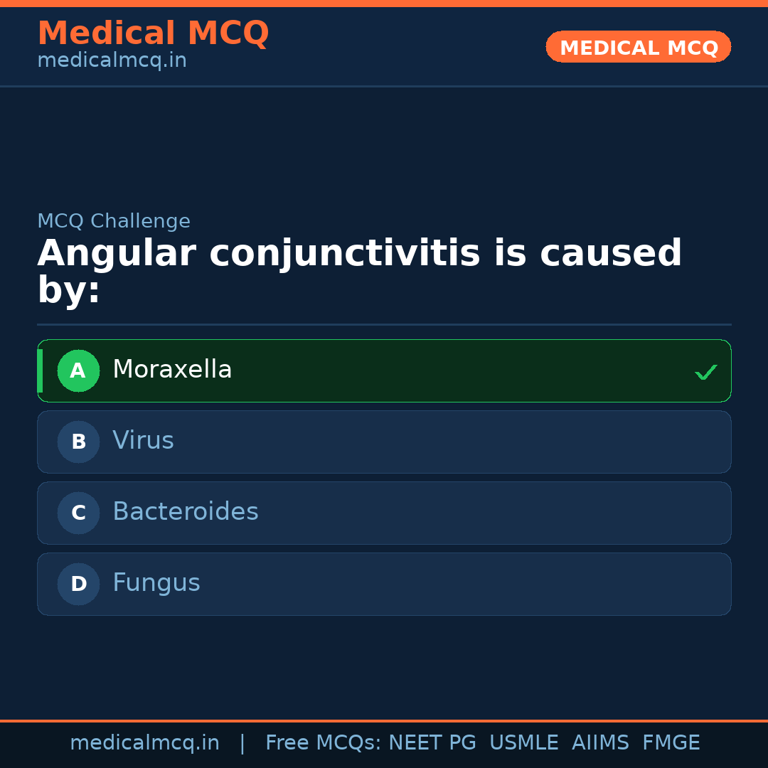 MCQ share card