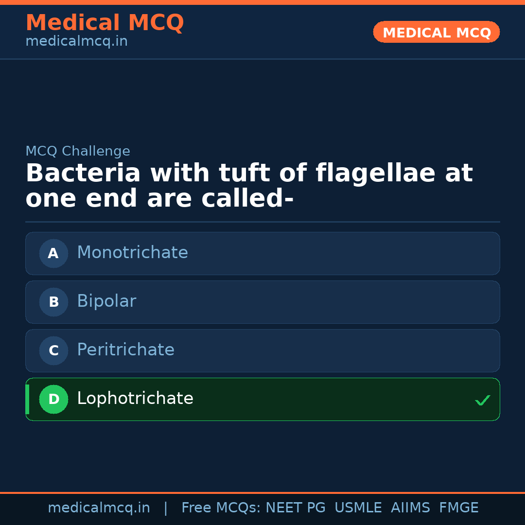 MCQ share card