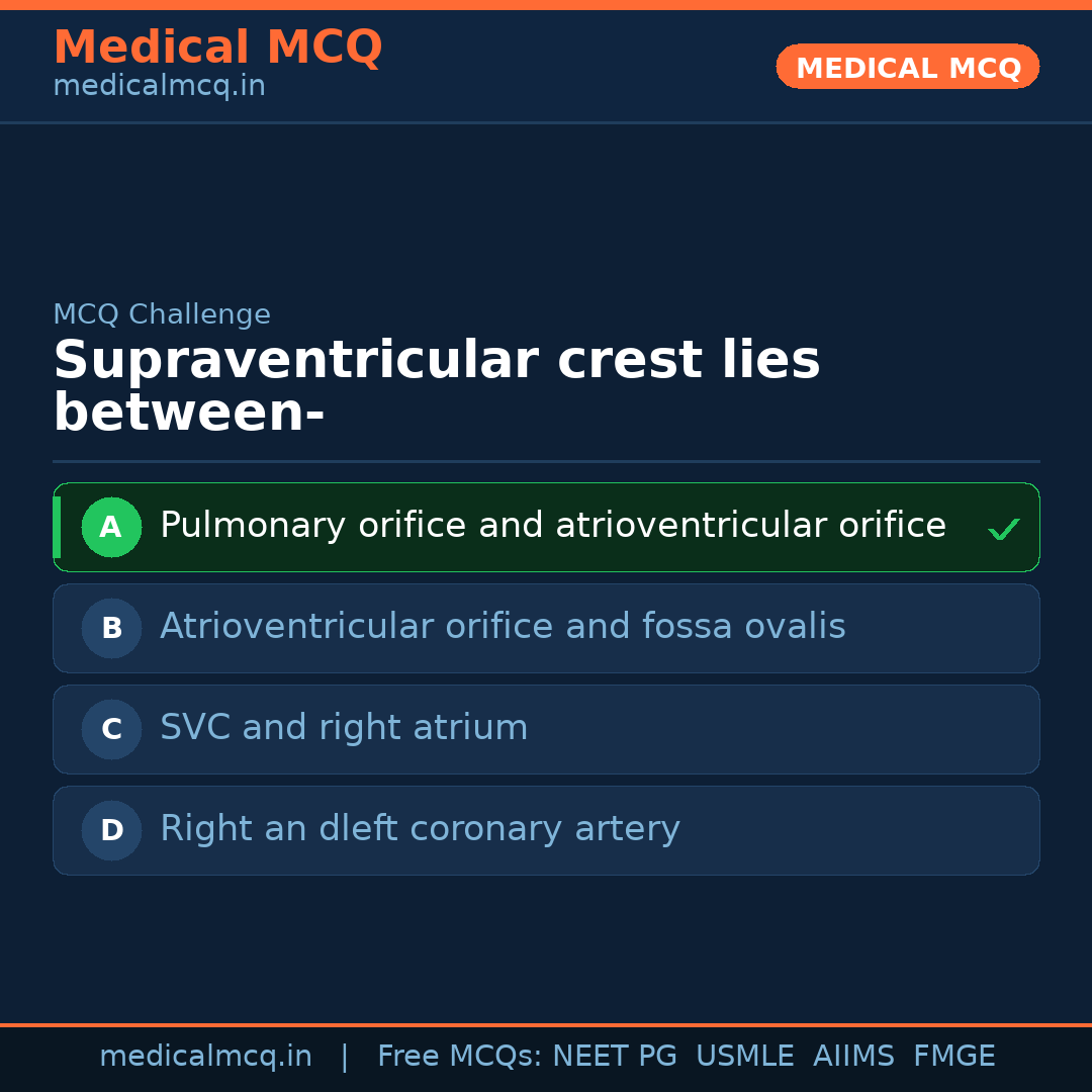 MCQ share card