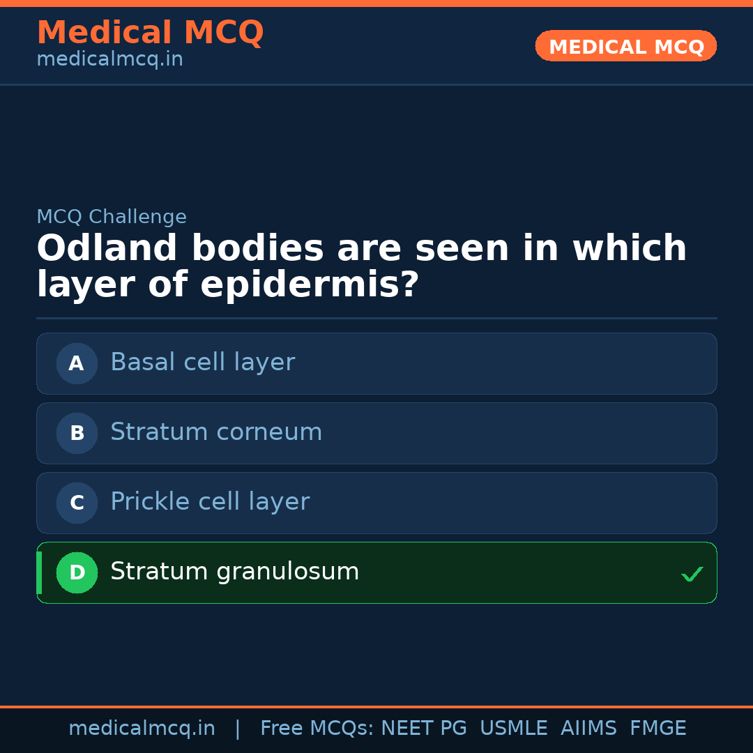 MCQ share card