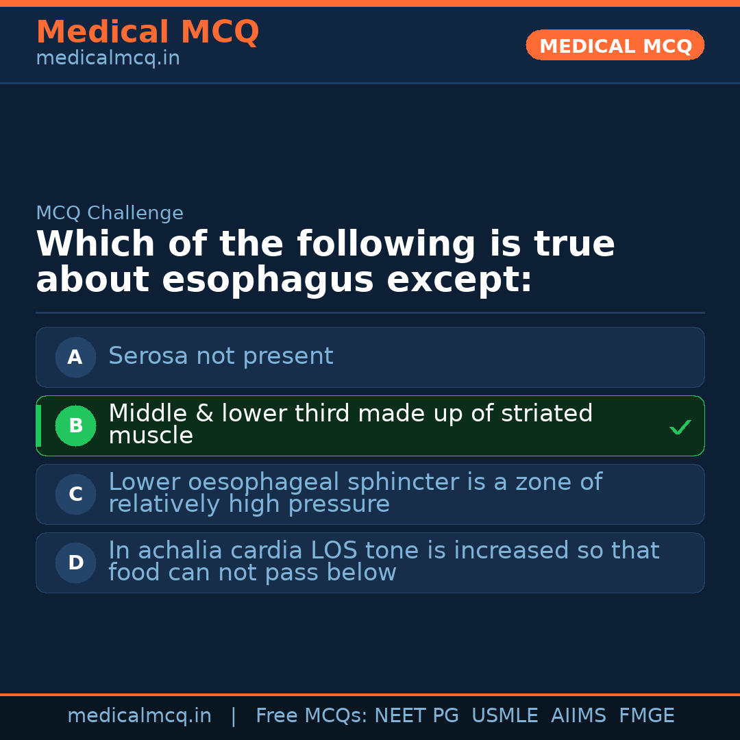 MCQ share card