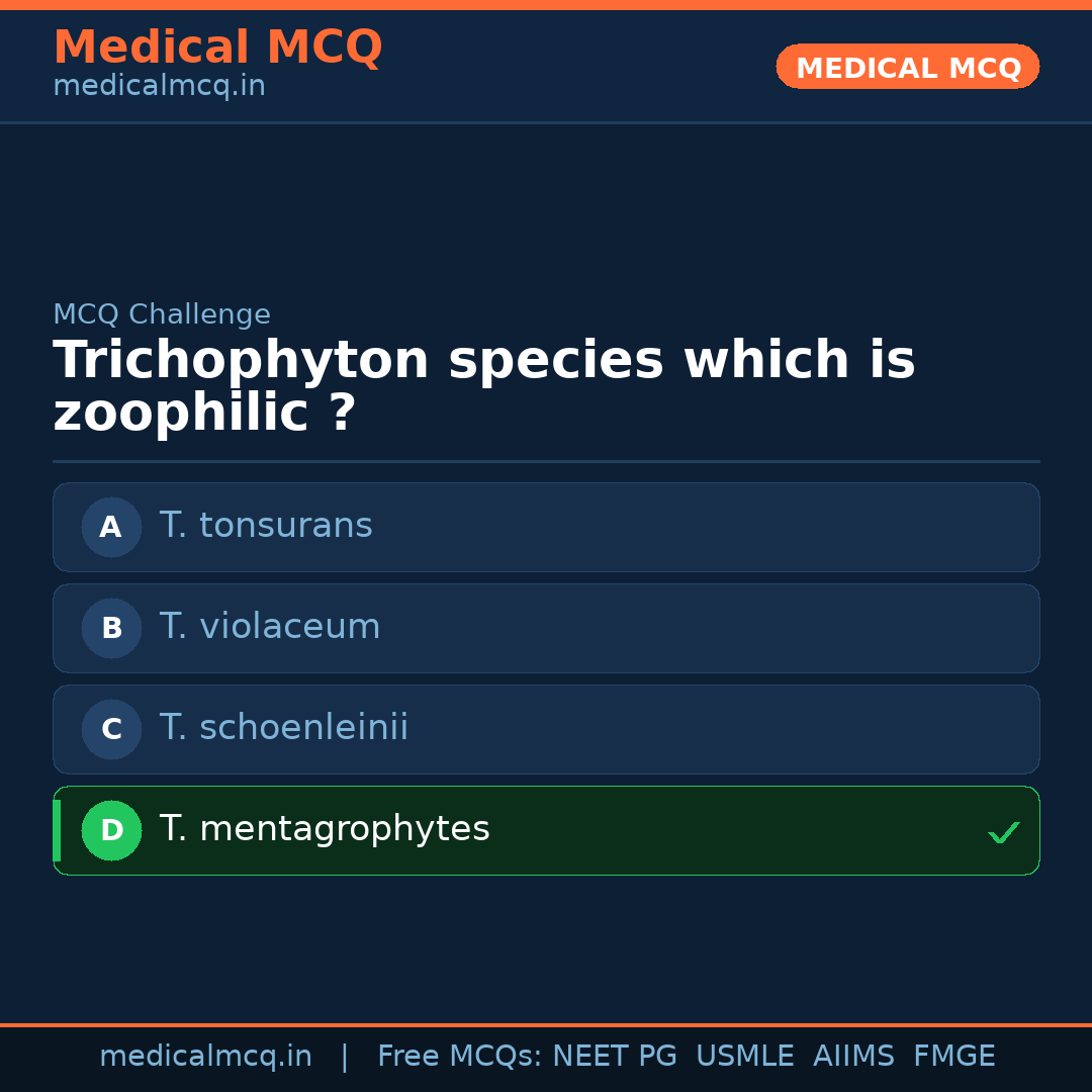 MCQ share card