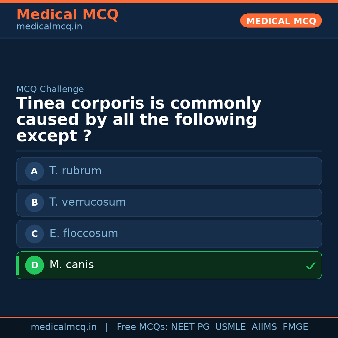 MCQ share card