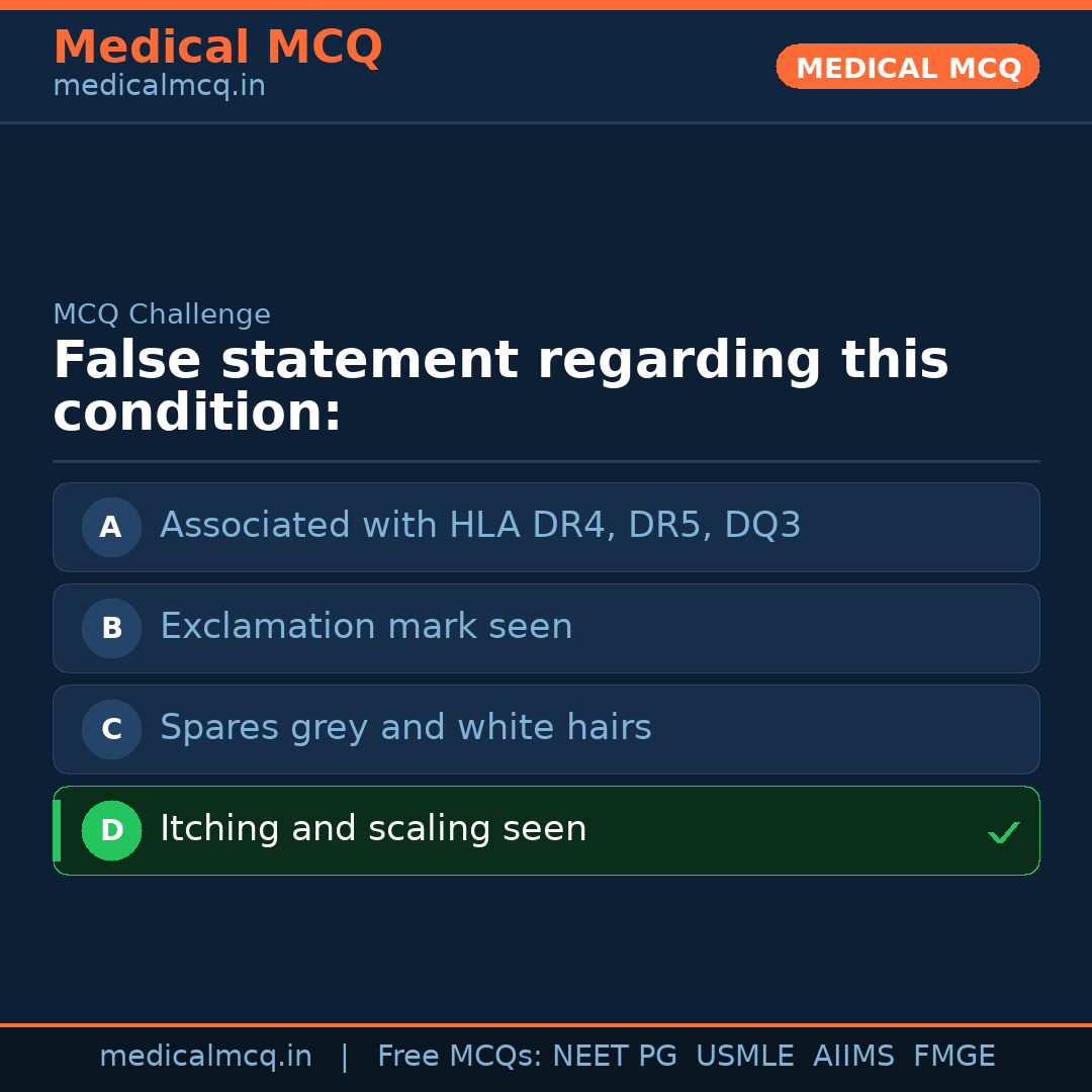 MCQ share card