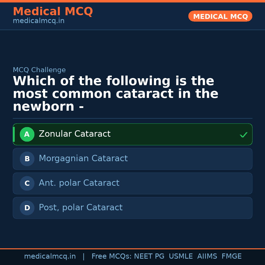 MCQ share card