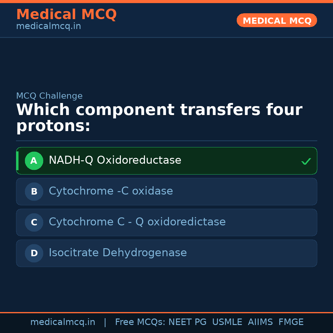 MCQ share card