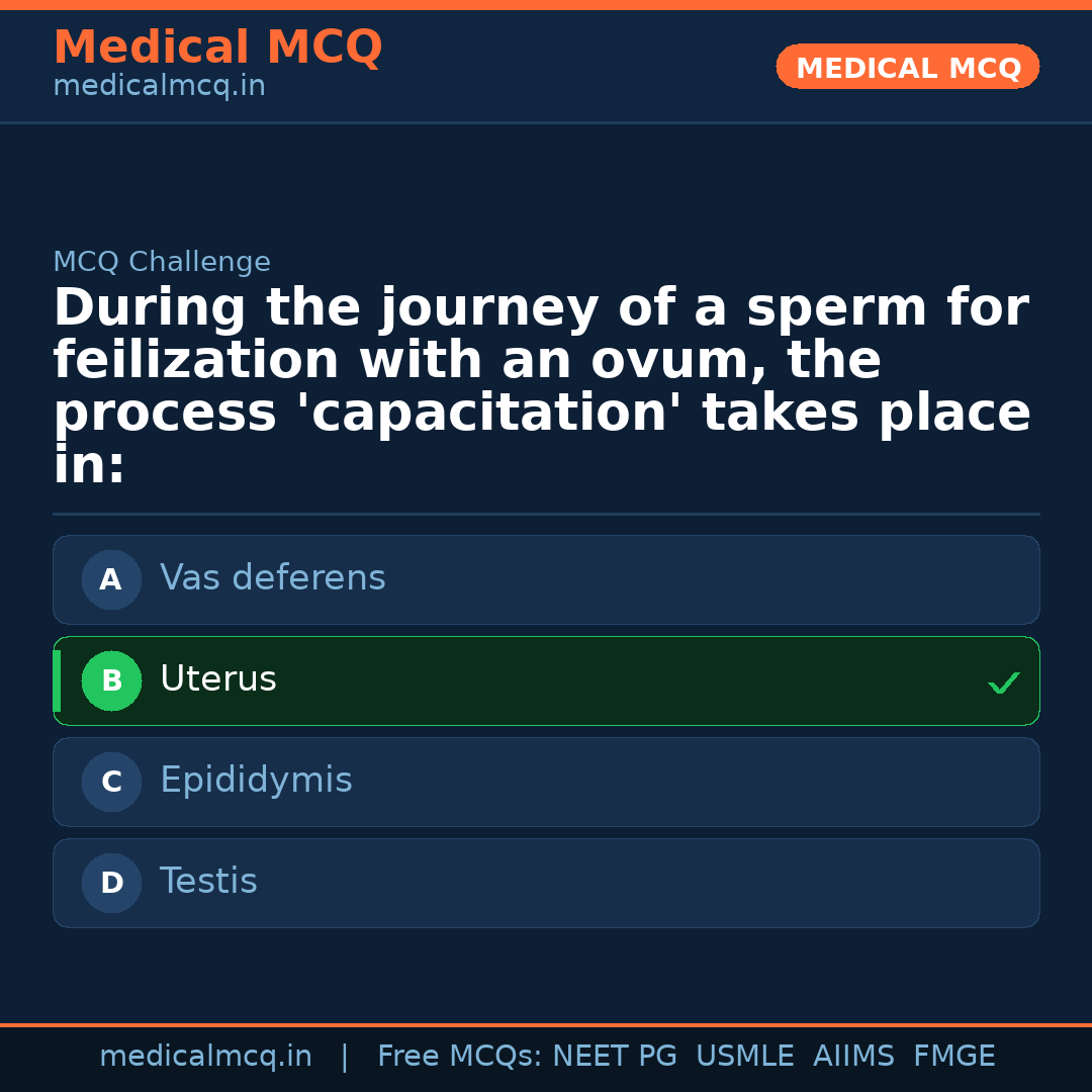 MCQ share card