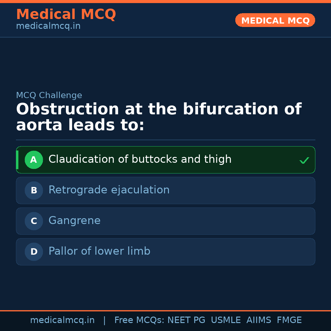 MCQ share card