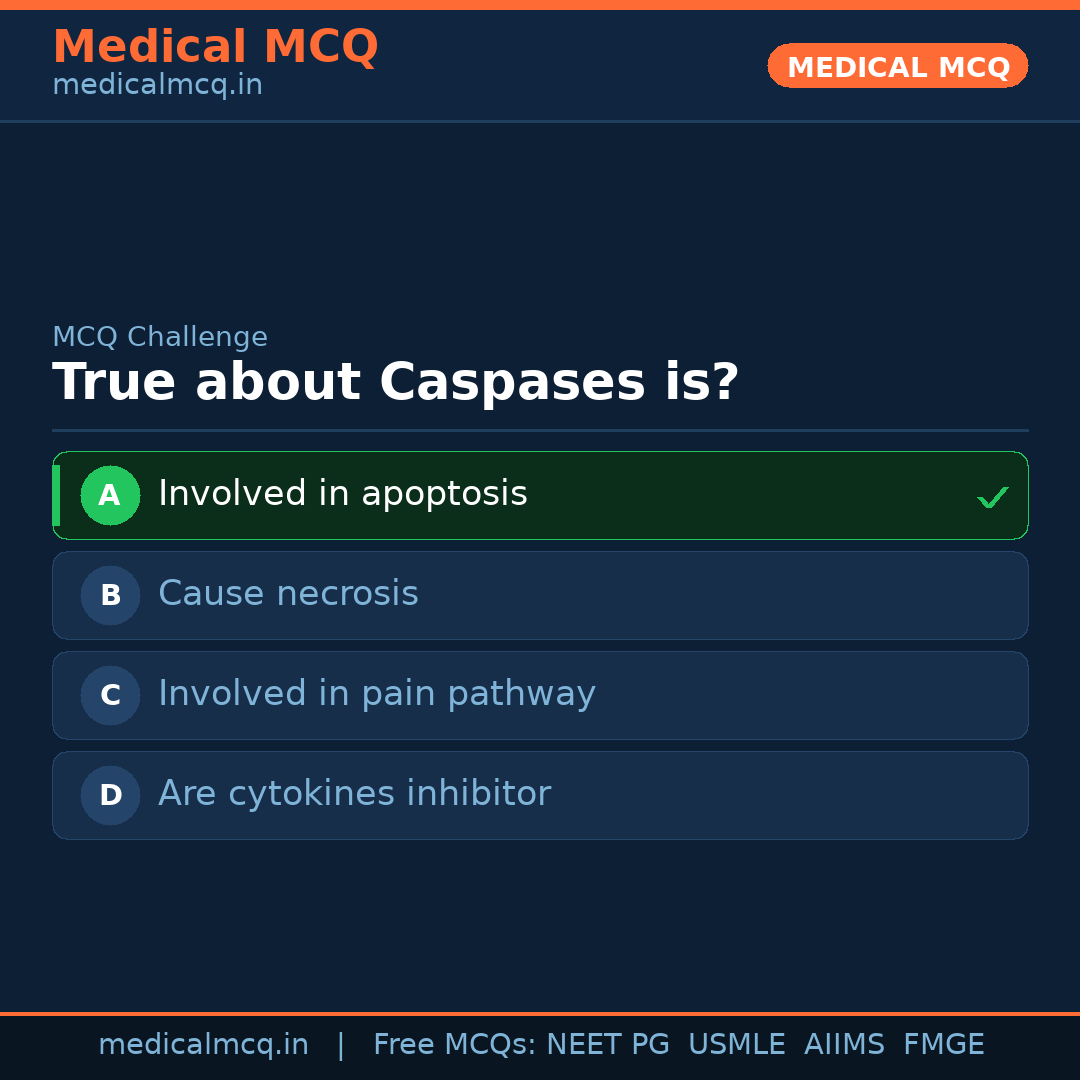 MCQ share card