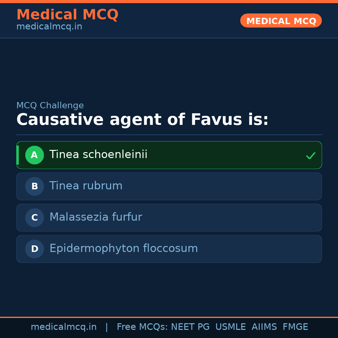 MCQ share card