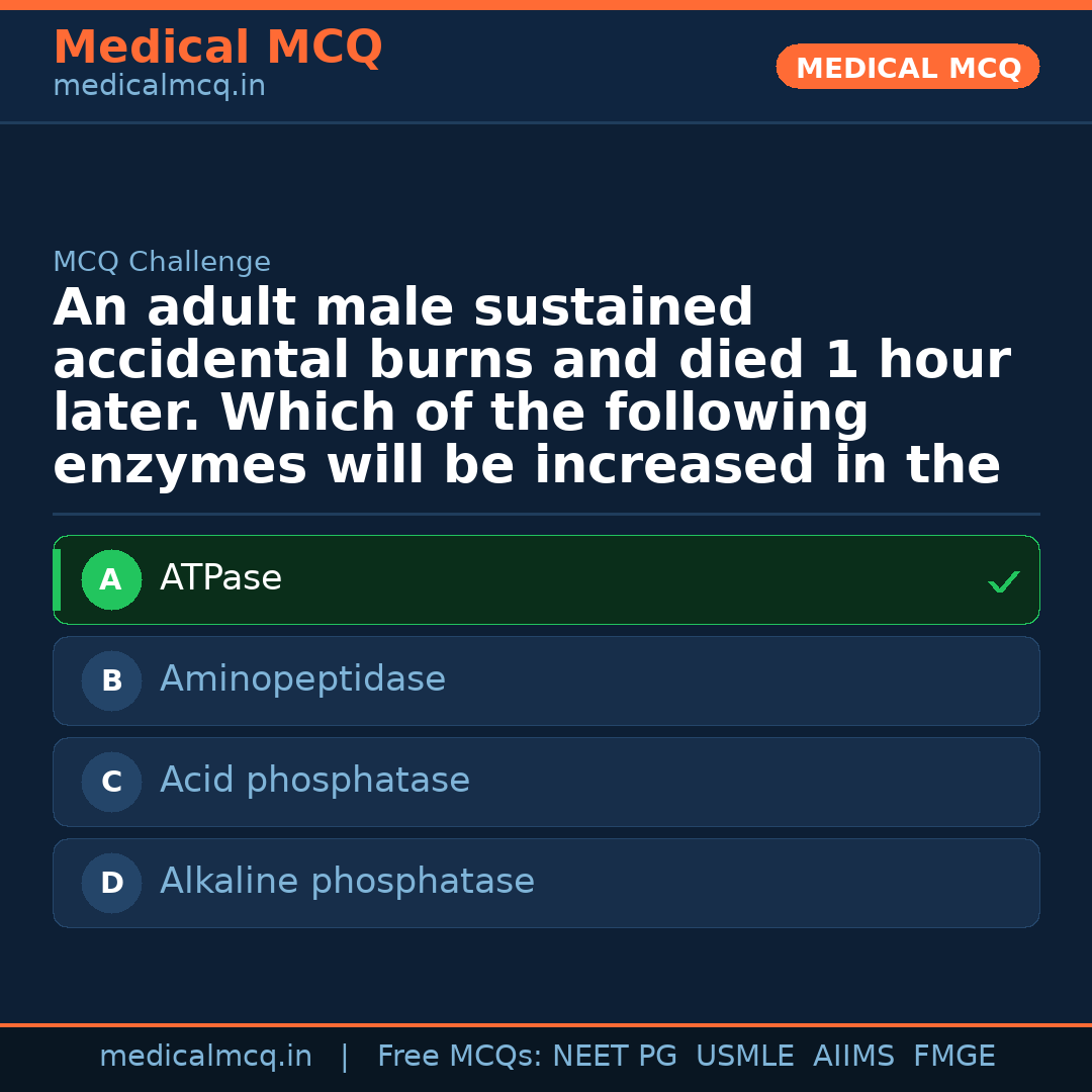 MCQ share card