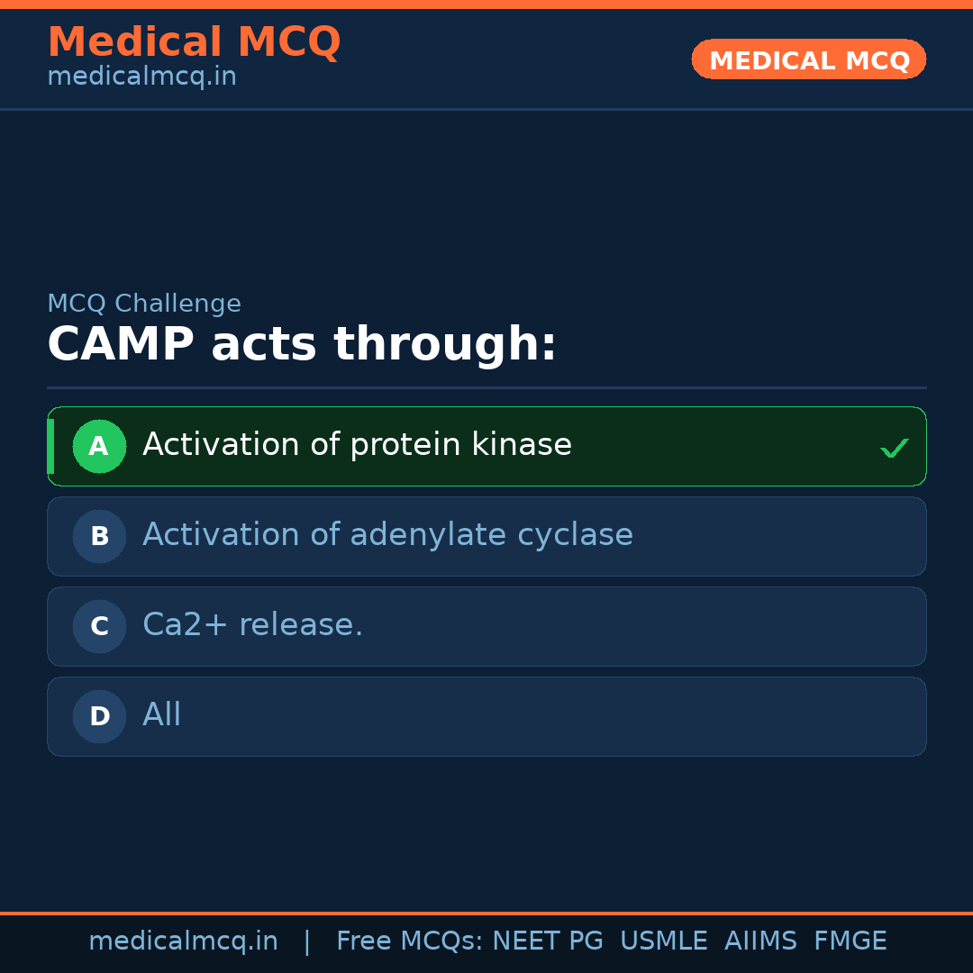 MCQ share card