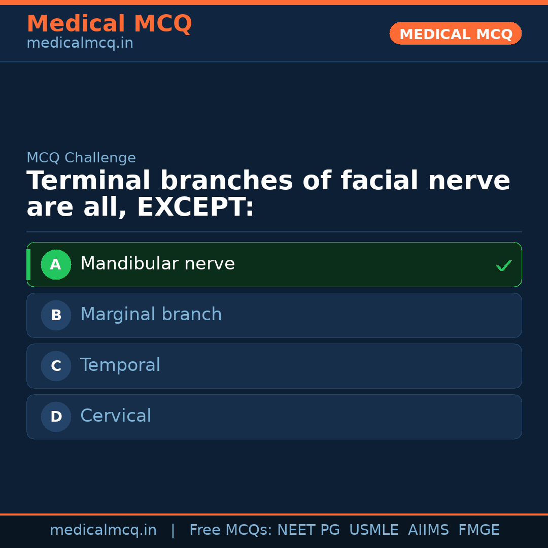 MCQ share card