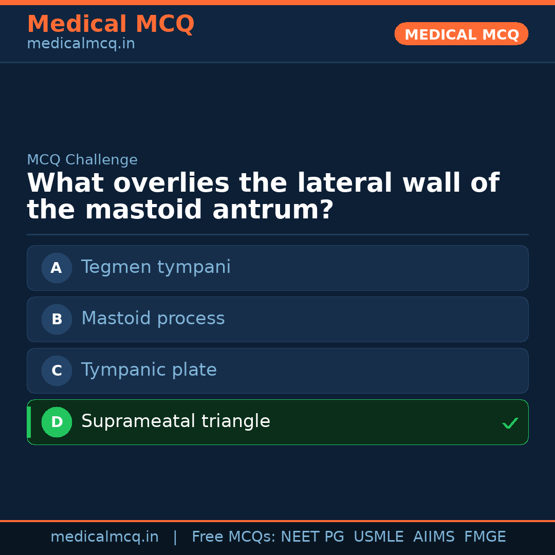 MCQ share card