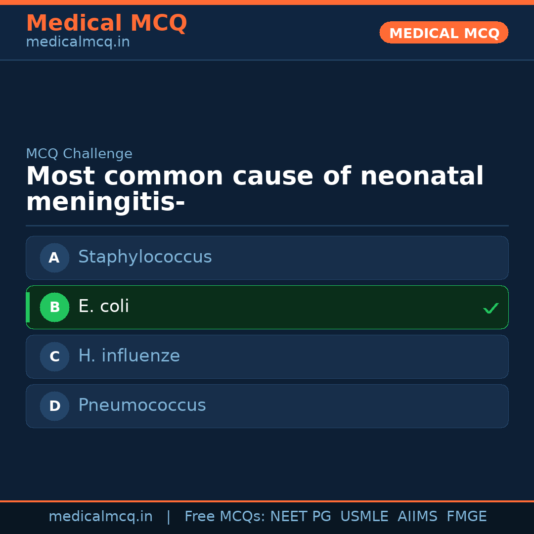 MCQ share card