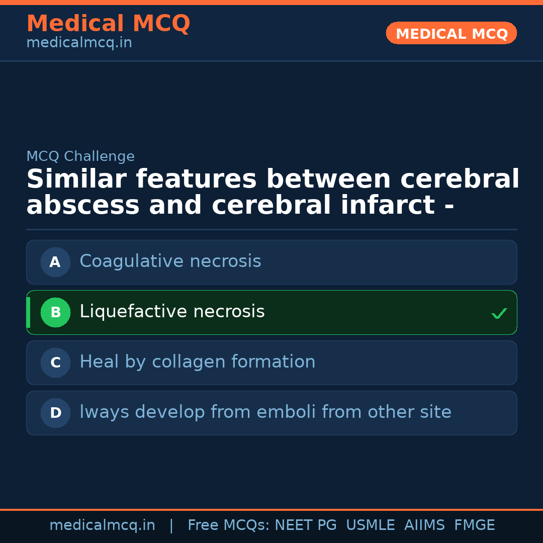 MCQ share card