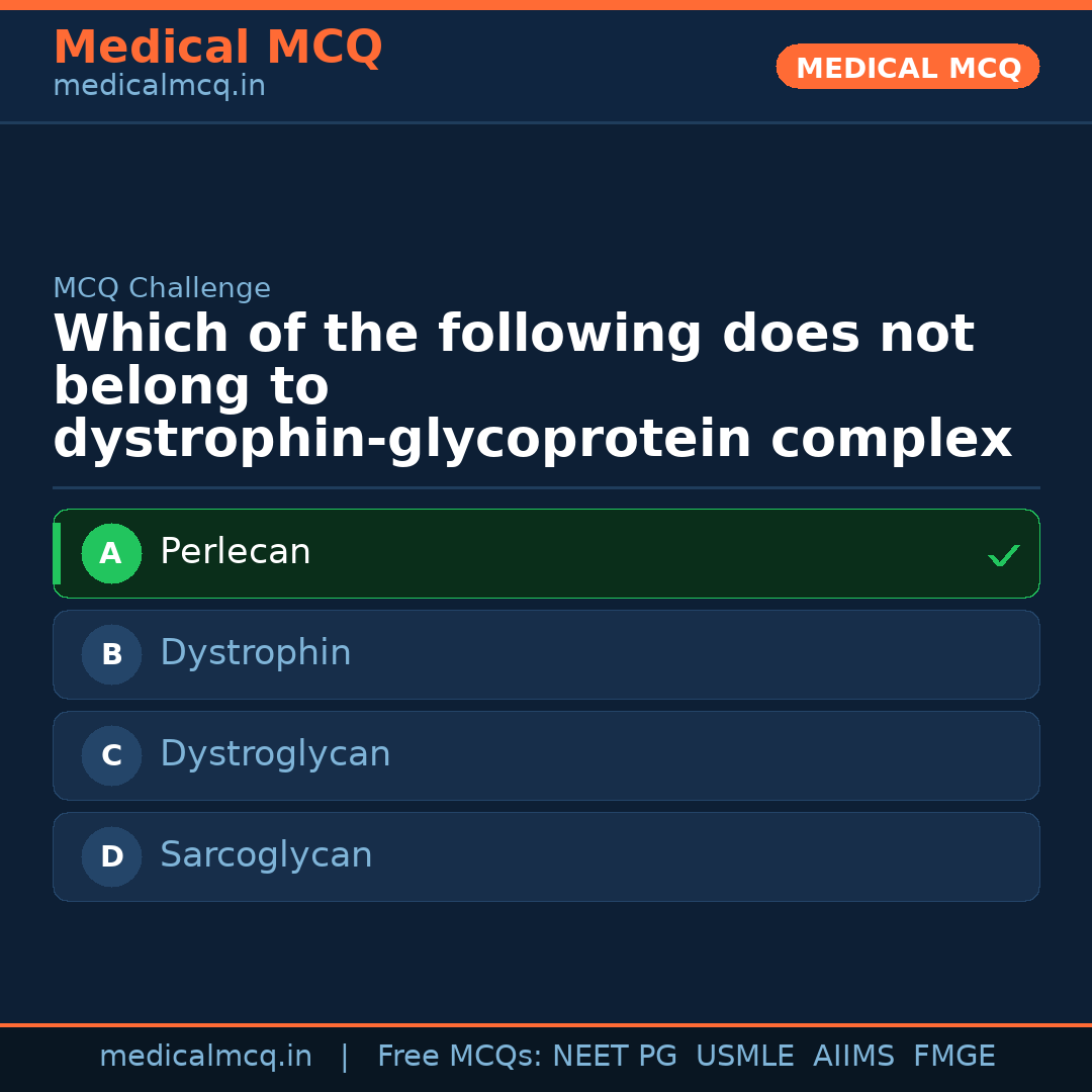 MCQ share card