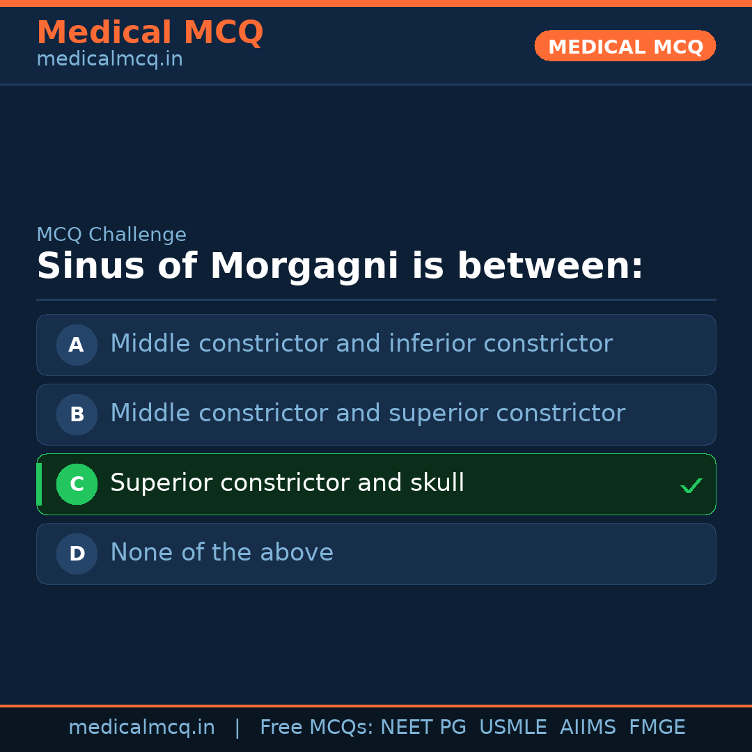 MCQ share card