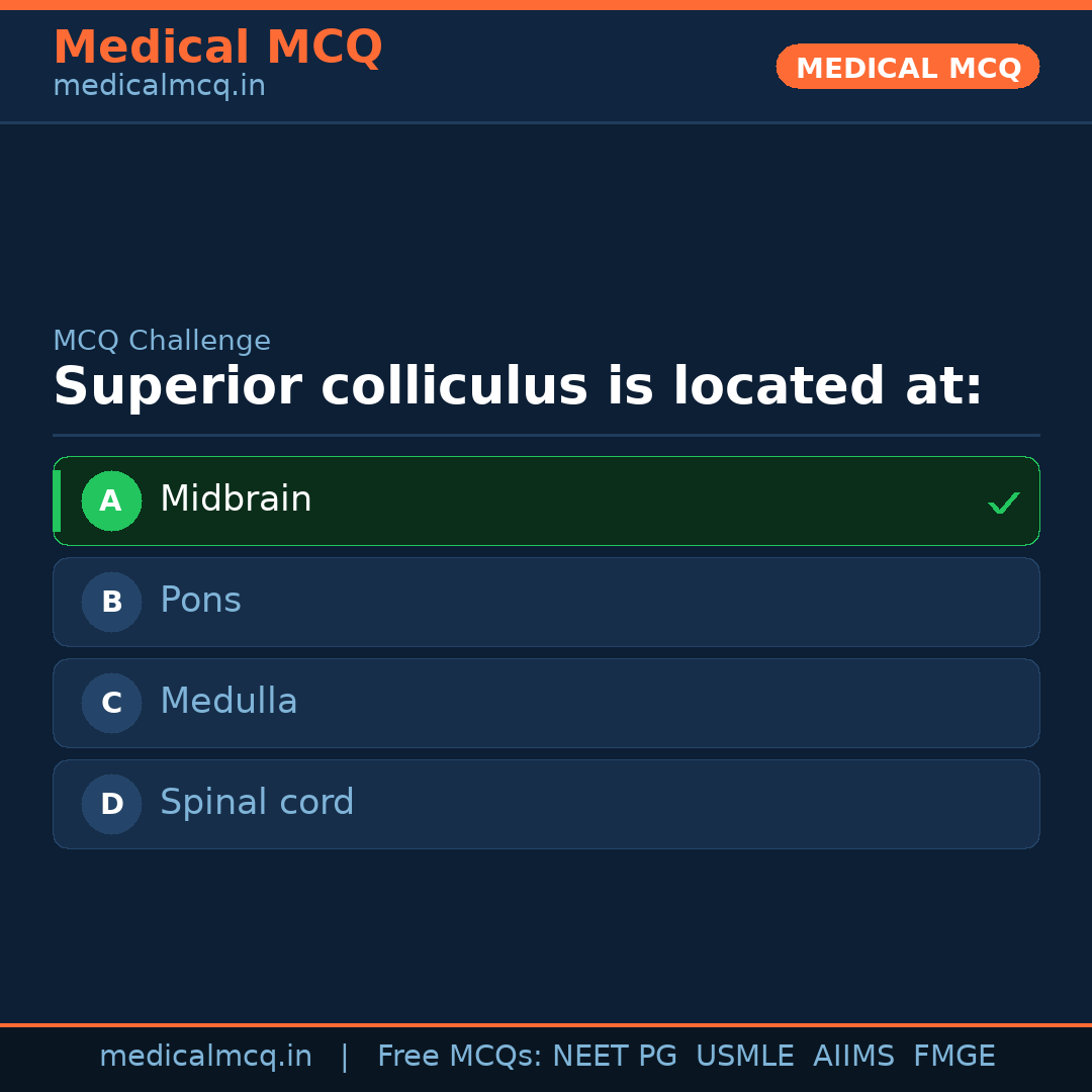 MCQ share card