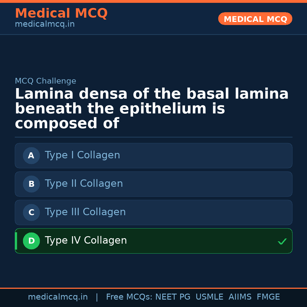 MCQ share card
