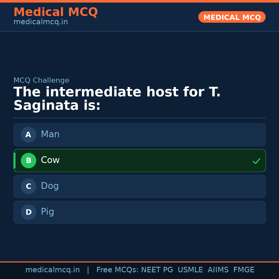 MCQ share card