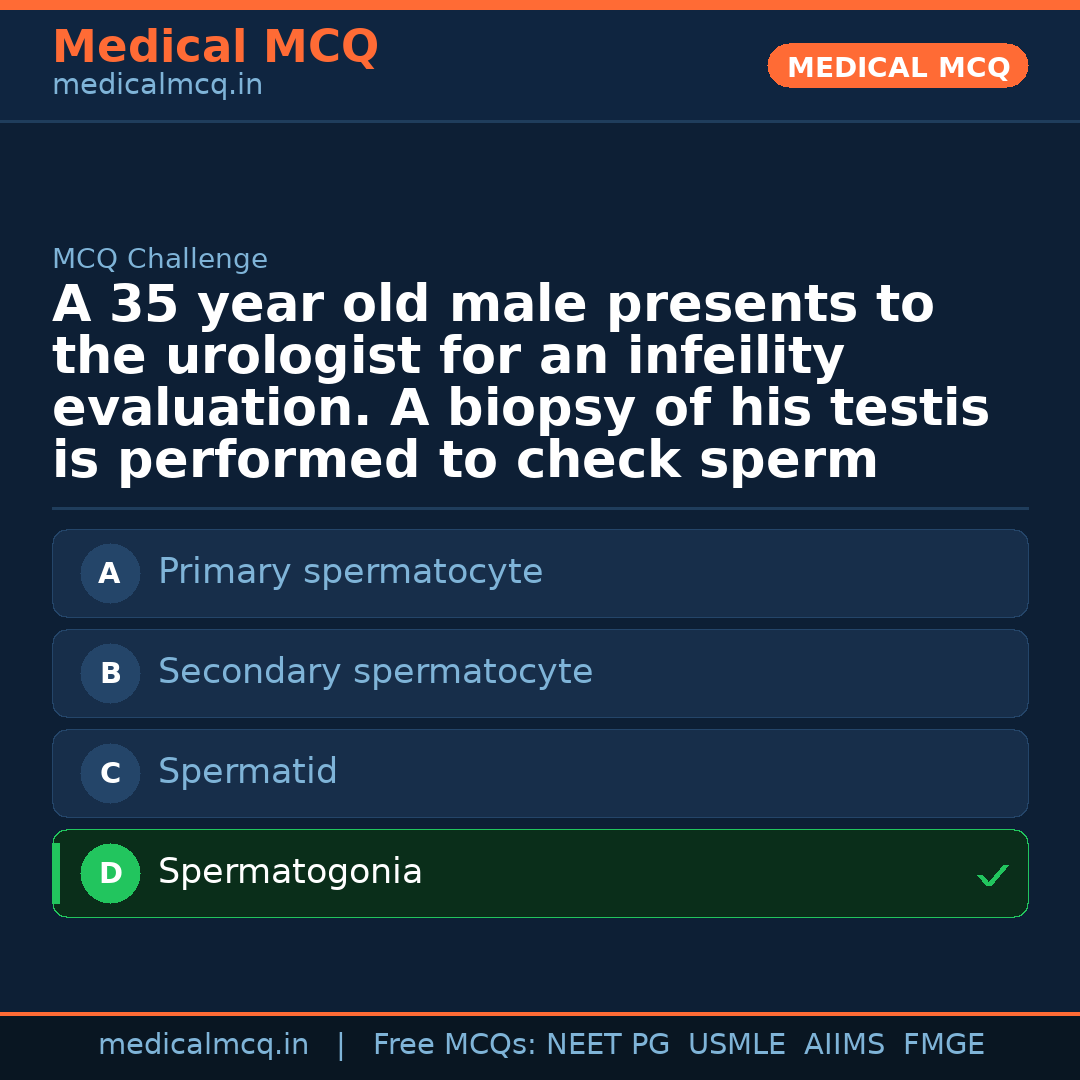 MCQ share card