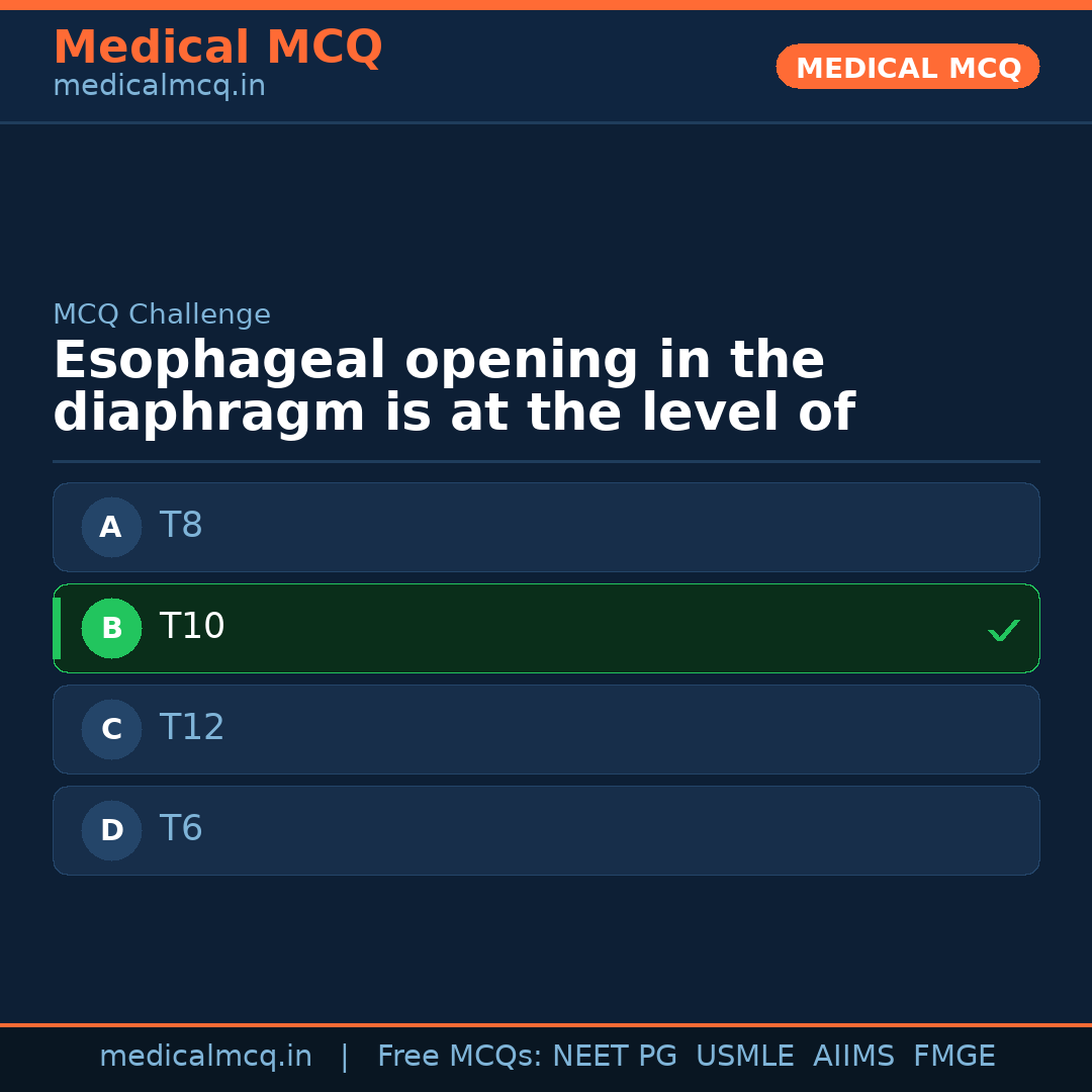 MCQ share card