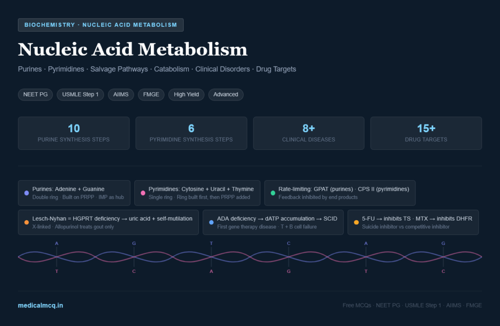 Nucleic Acid Metabolism — Complete Guide for NEET PG, USMLE & AIIMS | Purines, Pyrimidines, Salvage & High-Yield Facts