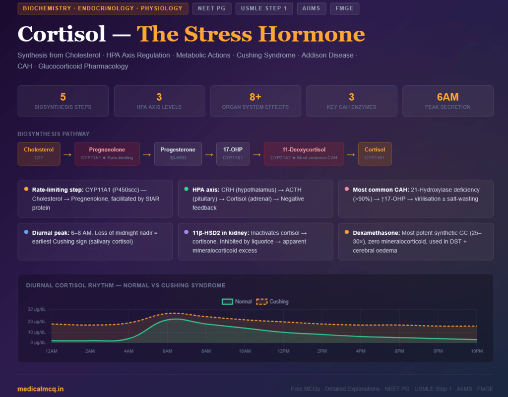 Cortisol — Complete Guide for NEET PG, USMLE & AIIMS | Synthesis, Function, Regulation & Clinical Disorders