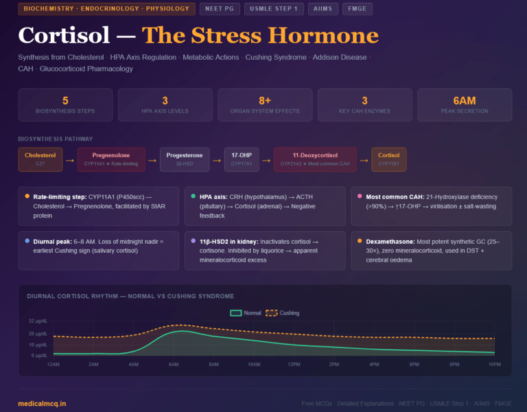 Cortisol — Complete Guide for NEET PG, USMLE & AIIMS | Synthesis, Function, Regulation & Clinical Disorders