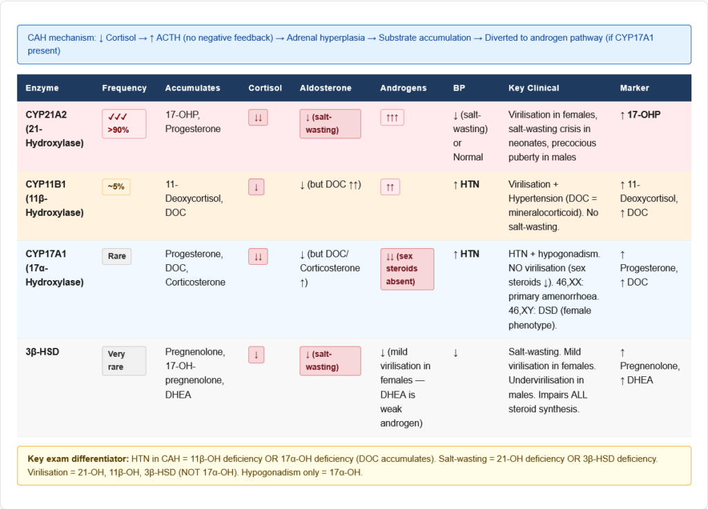 Aiims Function Colours Cortisol — Complete Guide for NEET PG, USMLE & AIIMS | Synthesis ...